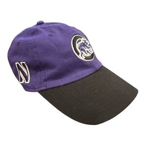 Chicago Cubs x Northwestern Wildcats NCAA Purple New Era Baseball Hat OSFM